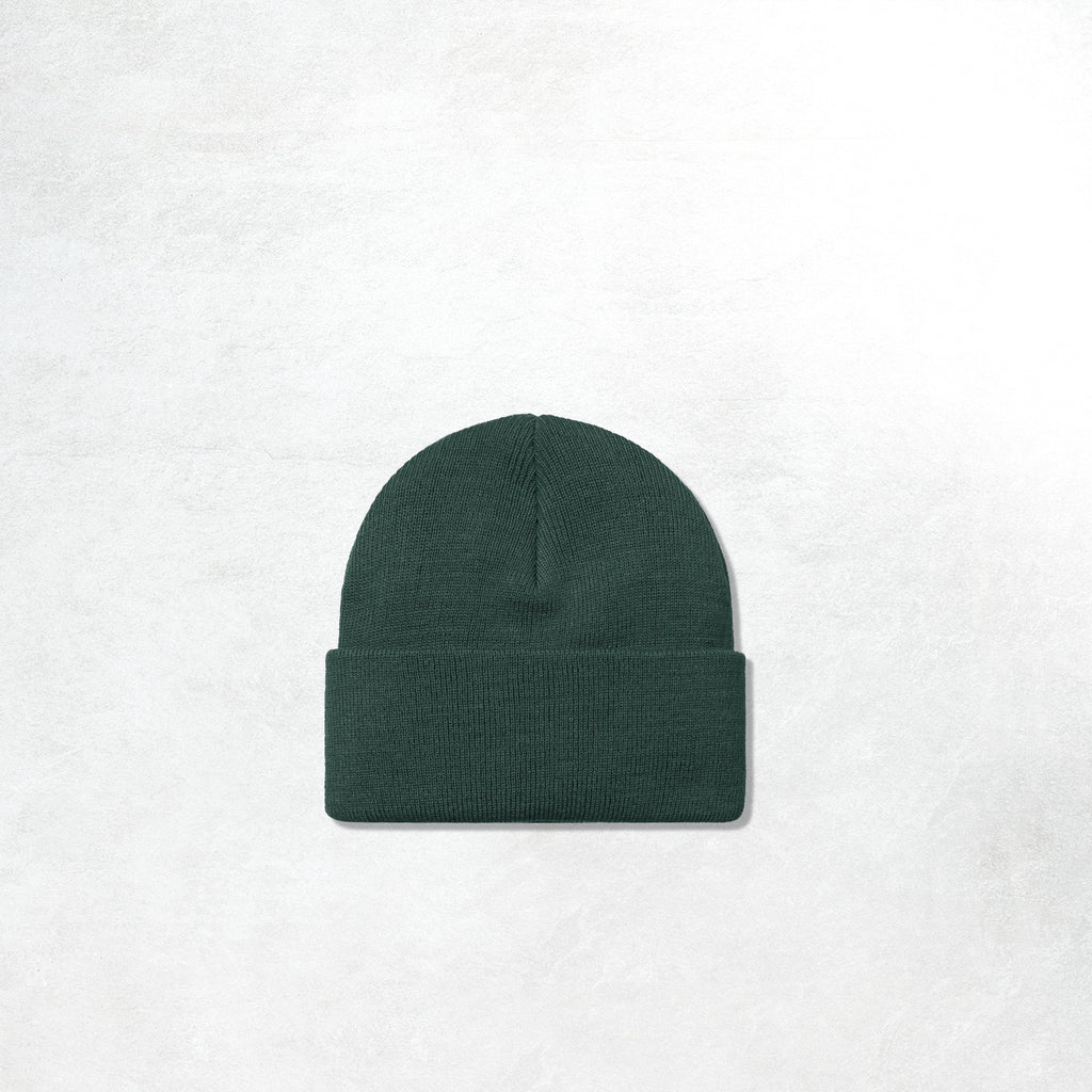 Carhartt WIP Chase Beanie: Discovery Green/Gold_1