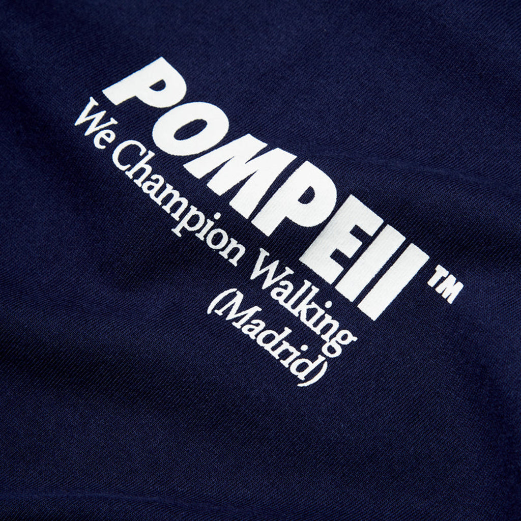 Pompeii Navy Boxy Graphic T-Shirt_4